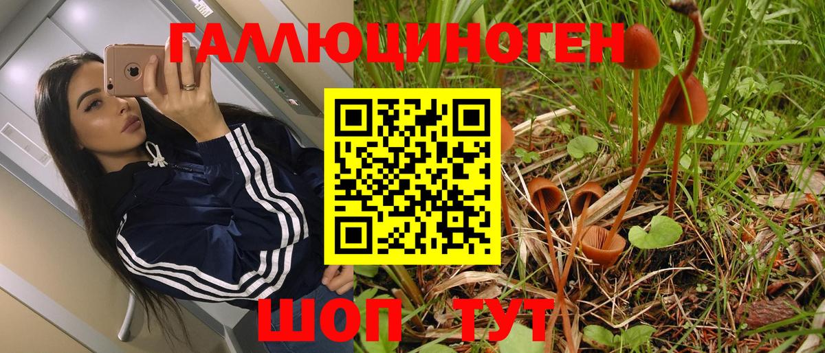 Псилоцибиновые грибы прущие грибы Реутов