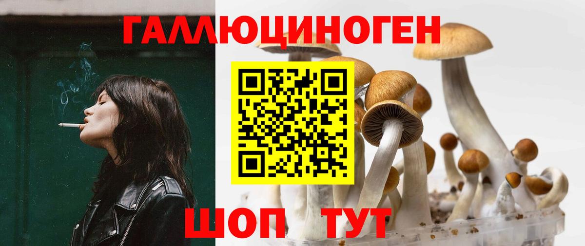 Реутов  Галлюциногенные грибы мухоморы  Вход с VPN 
